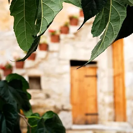 Villa Irini *
